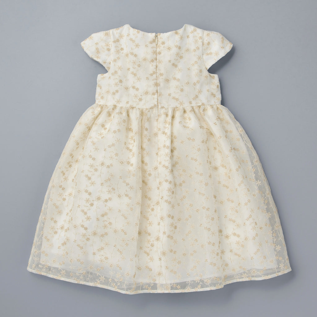 Pure Silk Lace Formal Dress