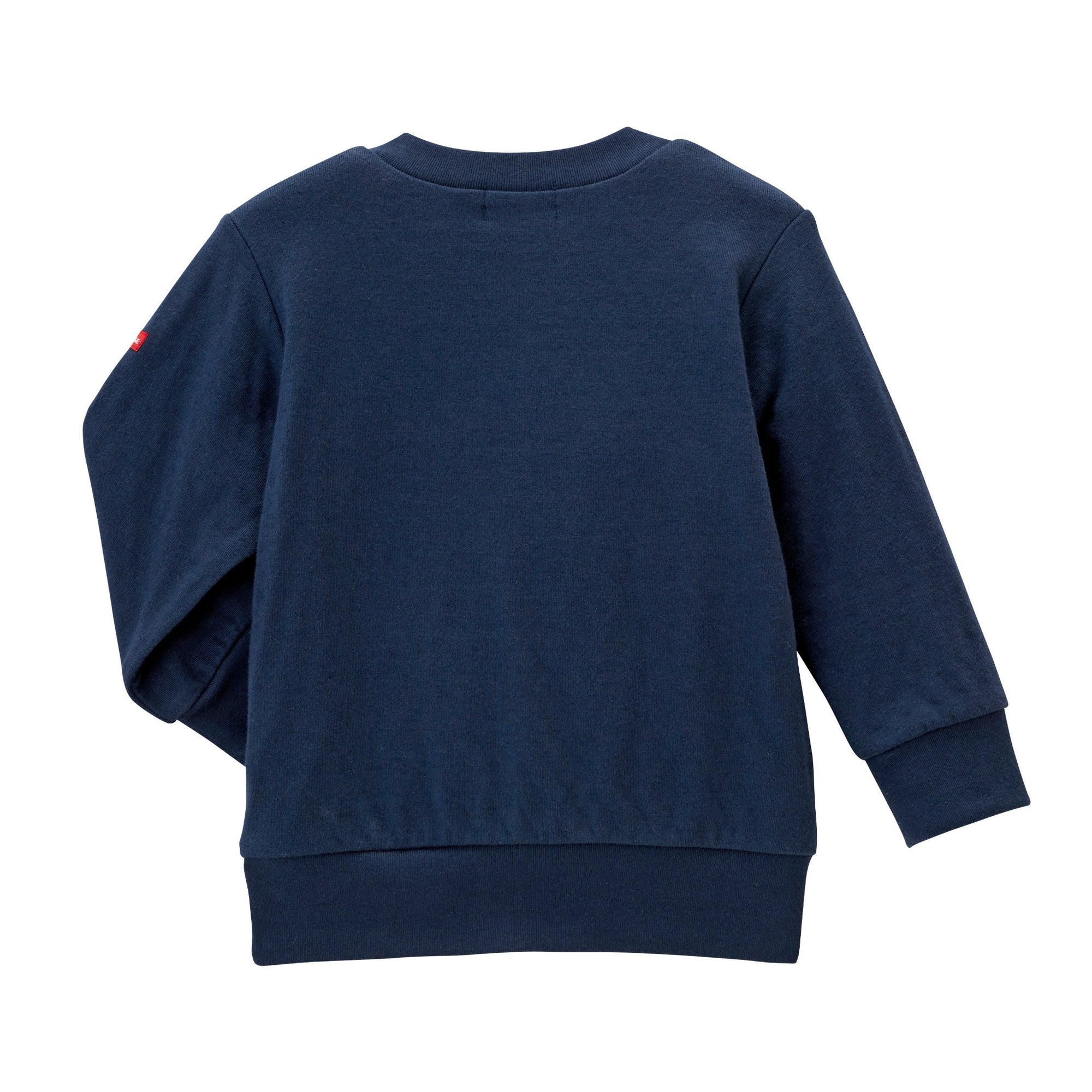 Teddy Paws Seasonal Charm Sweatshirt