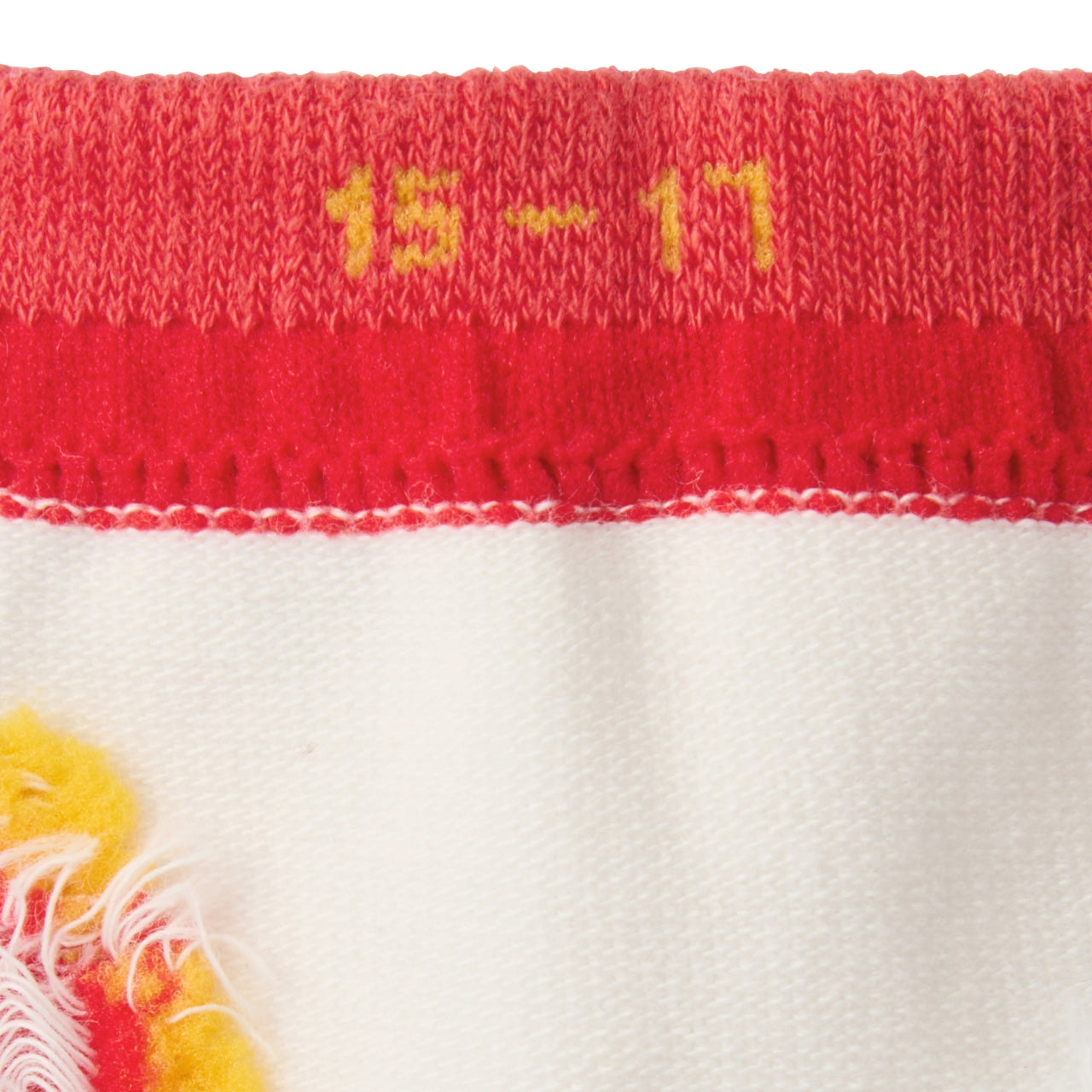 Classic Bear Vehicle Collection Crew Socks