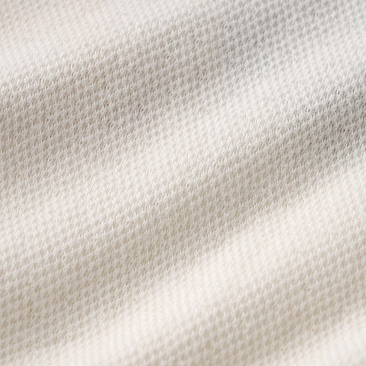 Classic Bear Sweatshirt