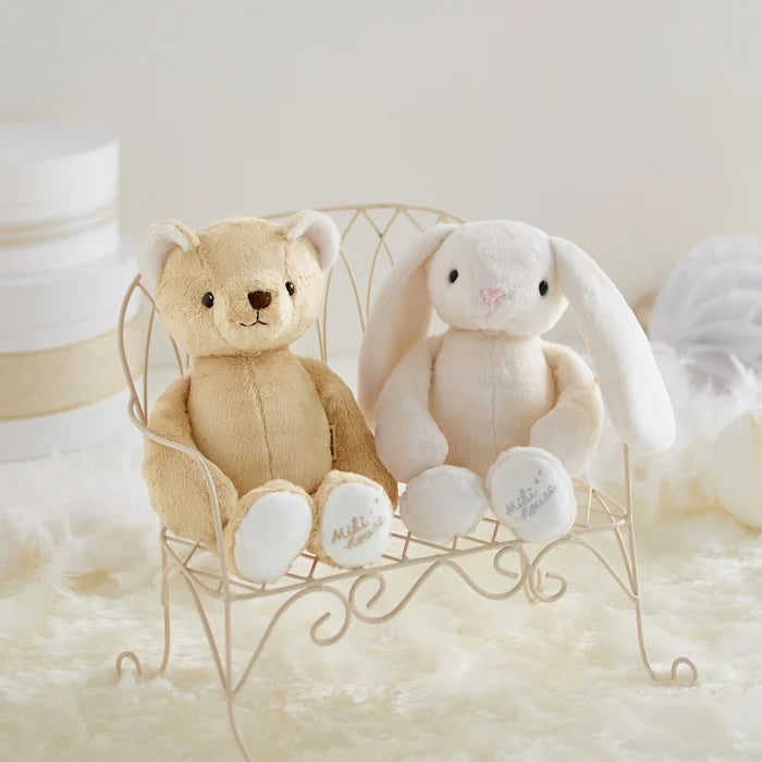 My First Teddy Bear