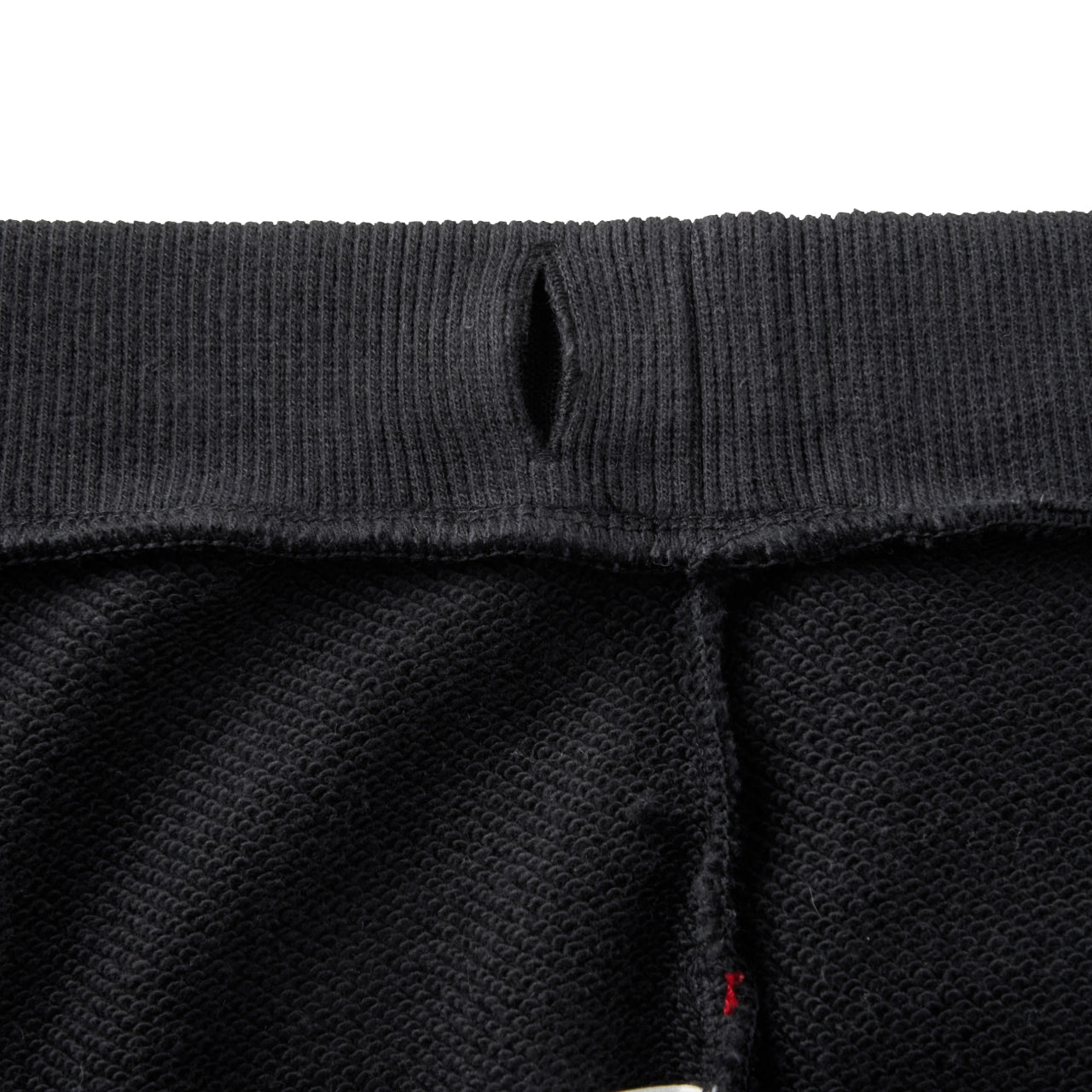 DB Jurassic Journey Sweatpants